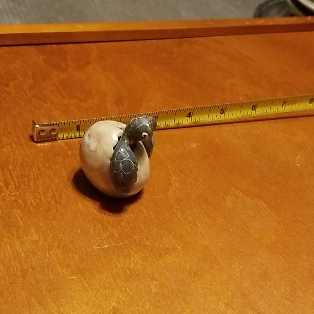 Small hatching turtle - Picture 3 of 4